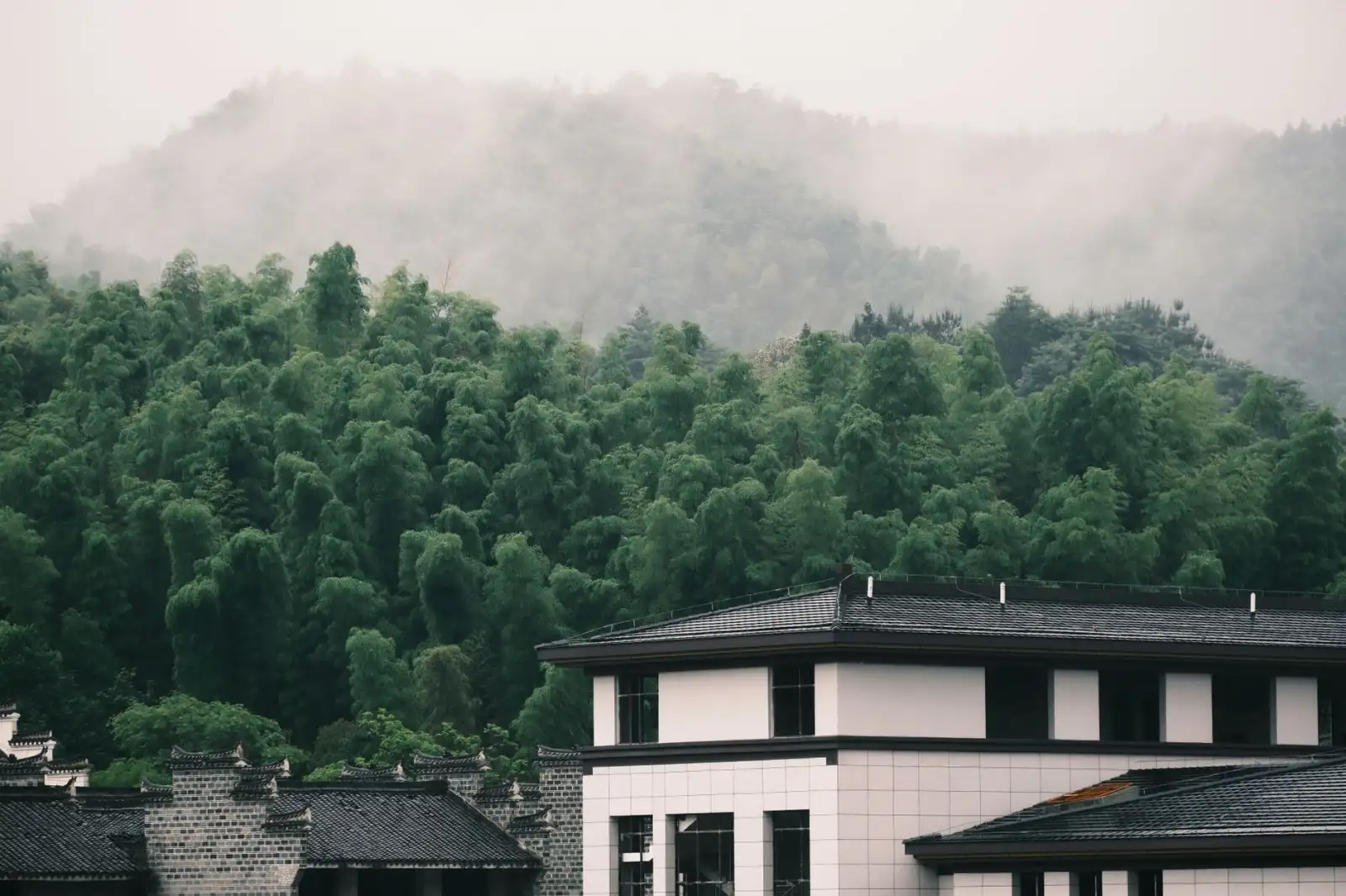 南京图南教育2024年学业规划服务方案设计流程详解