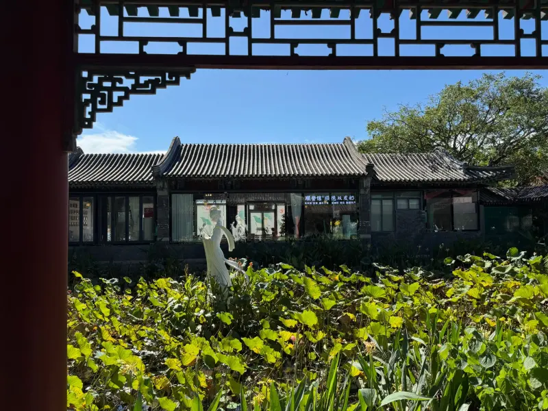 2024南京中考升学路径全解析：图南教育学业规划服务指南