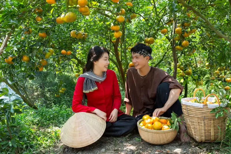南京教育培训机构学业规划方案对比：图南教育vs传统咨询